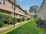 63 Maple Tree Avenue - Photo 1
