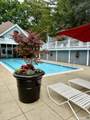1714 Old Pond Lane - Photo 32