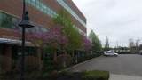 1 Chelsea Street - Photo 9