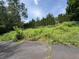 19 Maplehurst Avenue - Photo 8