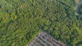  Frost Bridge Road - Photo 14