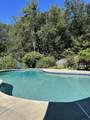 63 Laurel Grove Drive - Photo 38