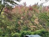 9 Birch Road - Photo 40
