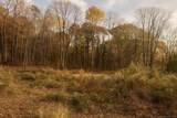 574 Oxford Road - Photo 2