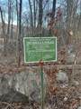 211 Lasky Road - Photo 4