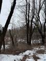1092 Hickory Hill Road - Photo 4