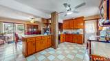 44 Midian Avenue - Photo 10