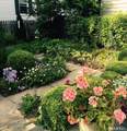14 Eld Street - Photo 28