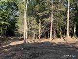 Lot 1 Chalybes Road - Photo 1