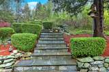 16 Wolf Tree Drive - Photo 34