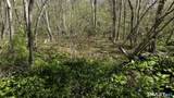 98 Braman Road - Photo 13