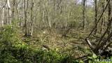 98 Braman Road - Photo 15