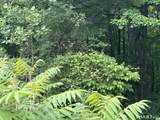 7 Holley Lane - Photo 11