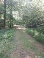  Mount Mauwee Road - Photo 2
