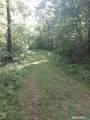  Mount Mauwee Road - Photo 4