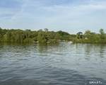 3 Island - Photo 6