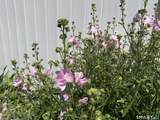 20 Plymouth Court - Photo 12