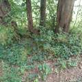 375 Hartford Road - Photo 5