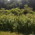 375 Hartford Road - Photo 7