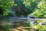 122 River Road - Photo 2