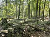 Lot 0 Kozey Road - Photo 8