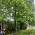 111 Boston Street - Photo 14