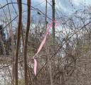 115 Mcbride Road - Photo 3