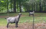 169 Whisconier Road - Photo 33