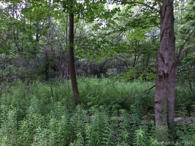 999 Hageman Shean Road - Photo 1