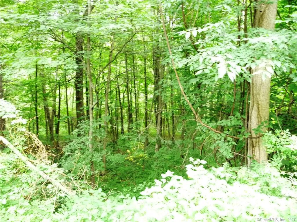 29 Old New Hartford Road - Photo 1