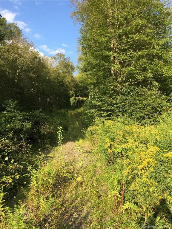 168 Turkey Hill Road - Photo 1