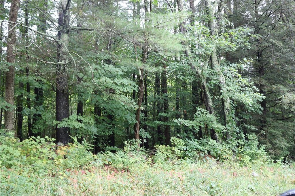 00 Milton Road - Photo 1