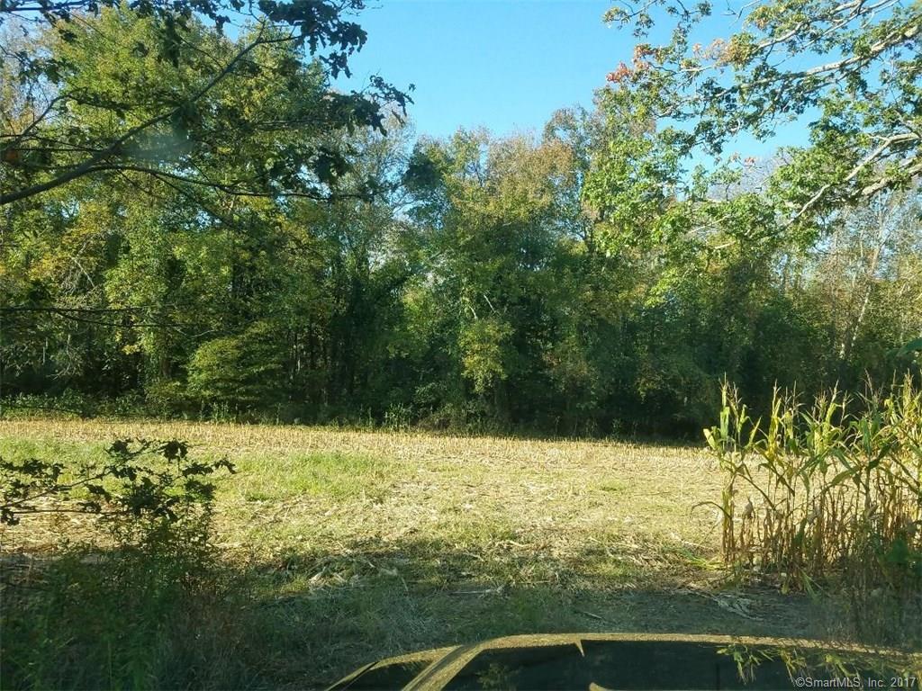 202 Brayman Hollow Road - Photo 1