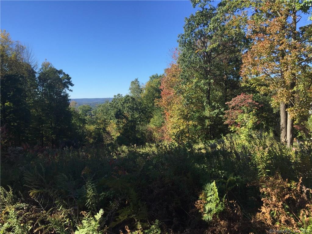 Lot 120 Phelps Road - Photo 1