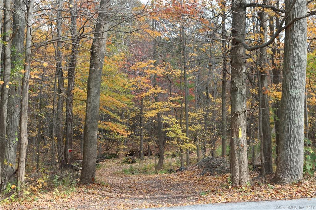 00 Fern Avenue - Photo 1
