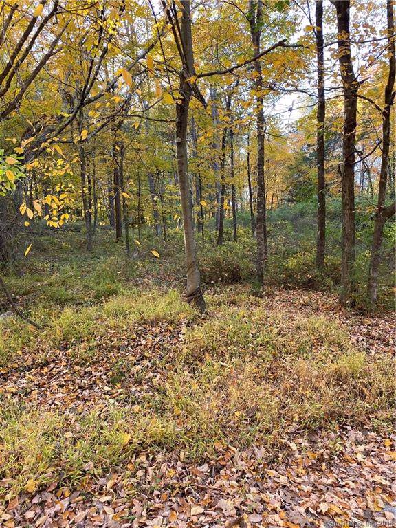 0000 Hall Lane - Photo 1