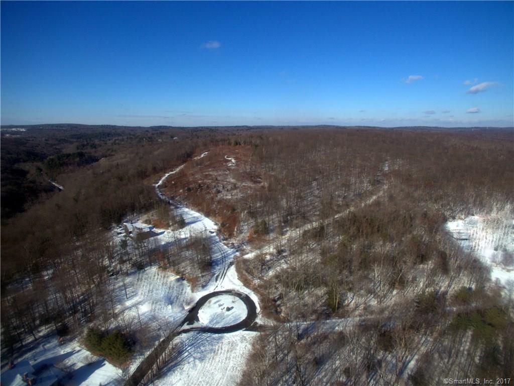 33 Moose Horn Mountain - Photo 1