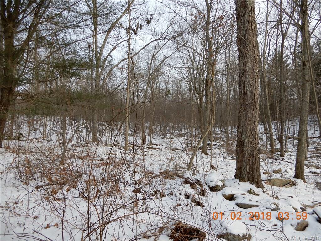 221 Mansfield Road - Photo 1