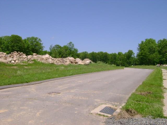 LOT 58 Skyline Drive - Photo 1