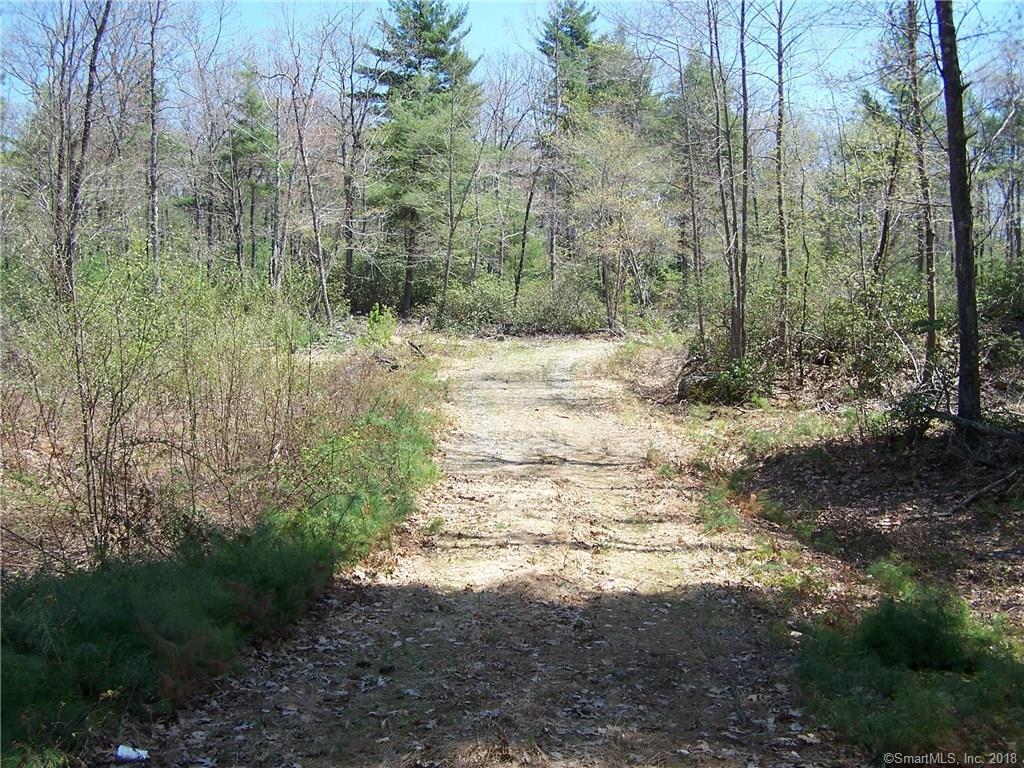 3 Robins Lane - Photo 1