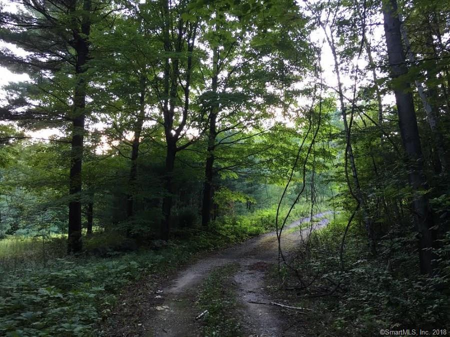 00 Old Colony Road - Photo 1