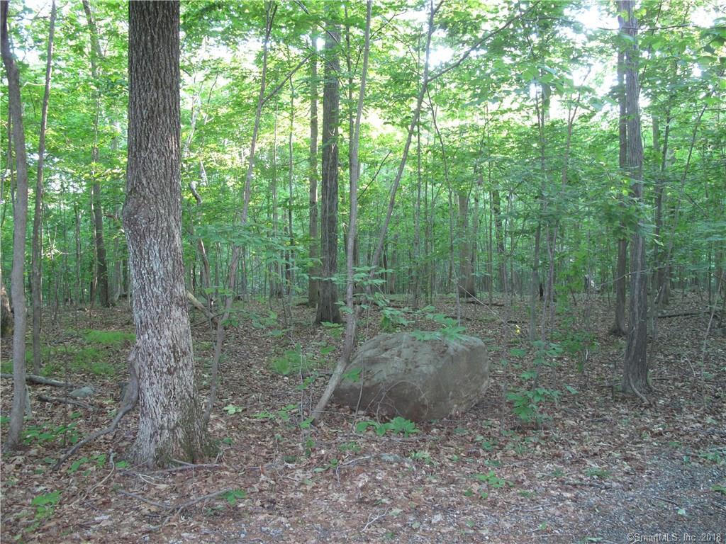 Lot 17-3 Murray Lane - Photo 1