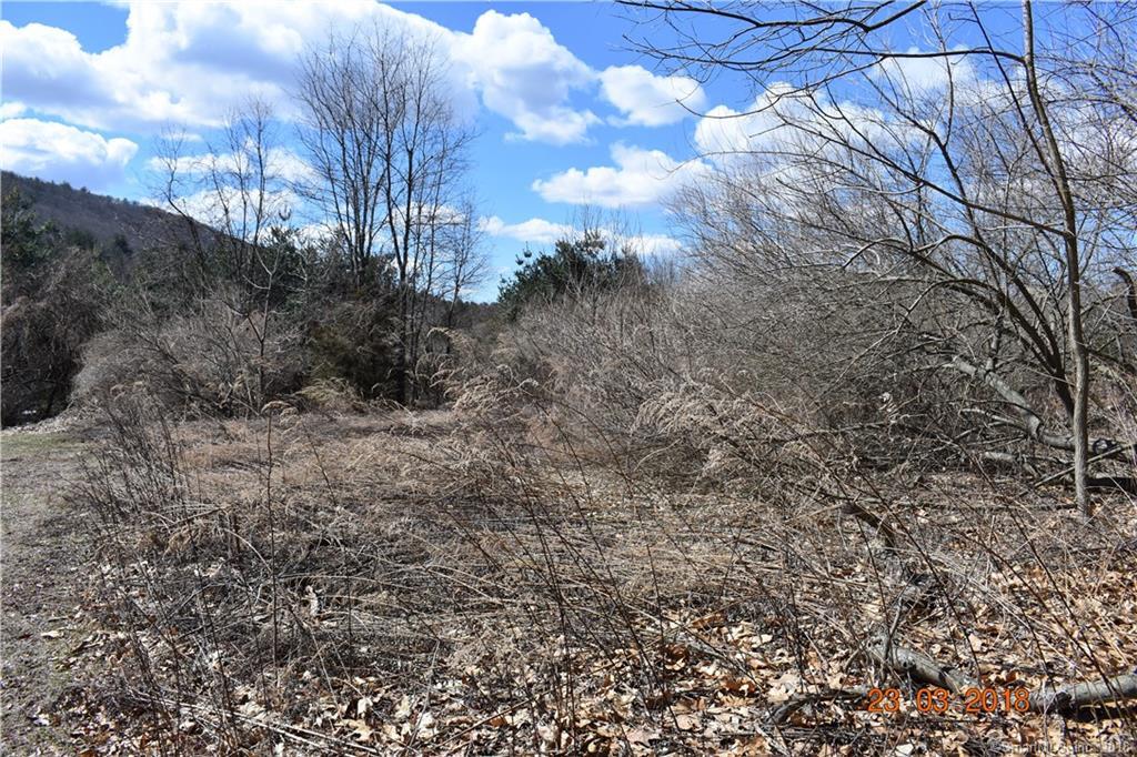 284 Cook Lane - Photo 1