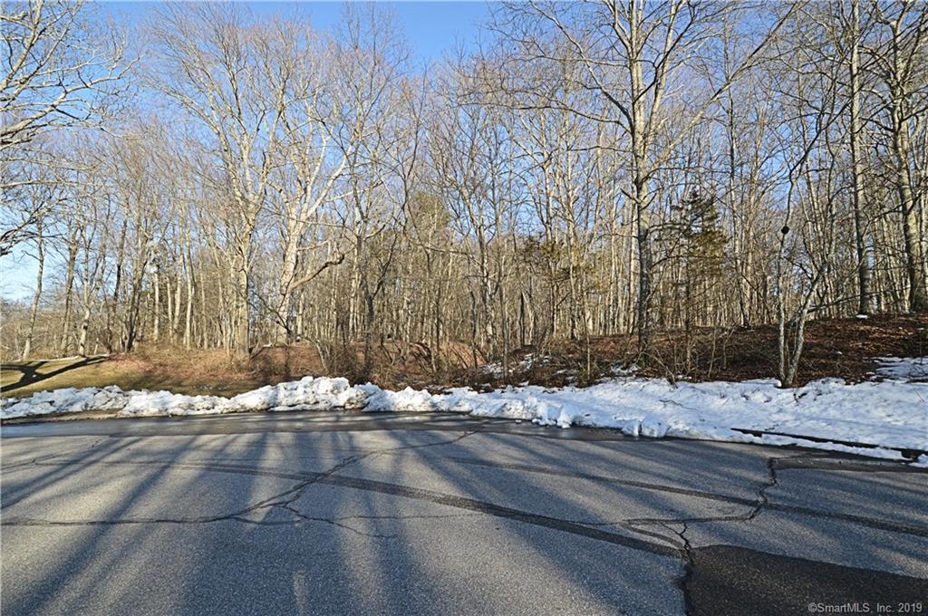 18 Carriage Drive - Photo 1