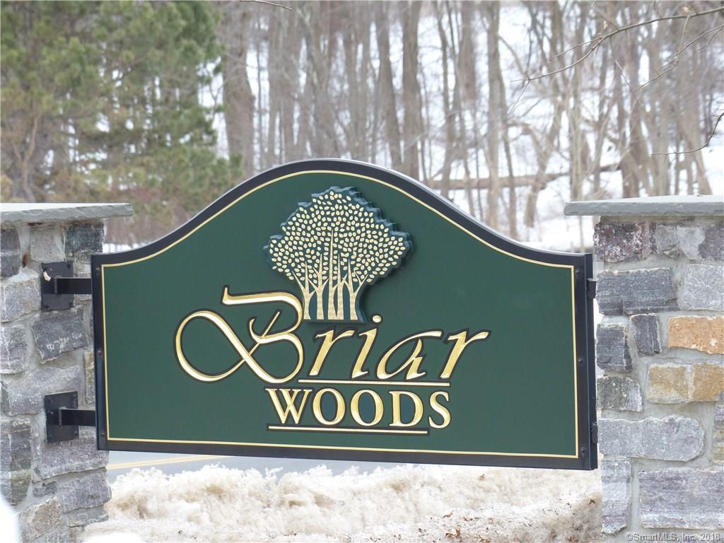 1005 Briar Woods Lane - Photo 1