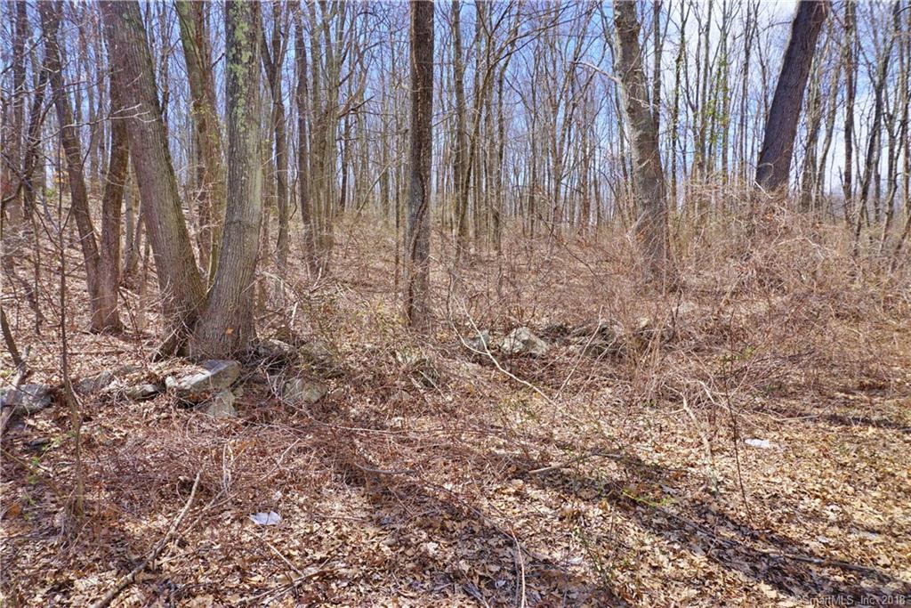 97 Hebron Road - Photo 1