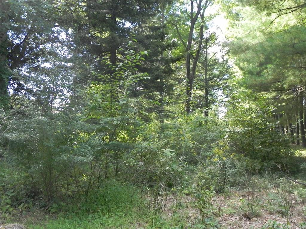 13A Osborn Road - Photo 1
