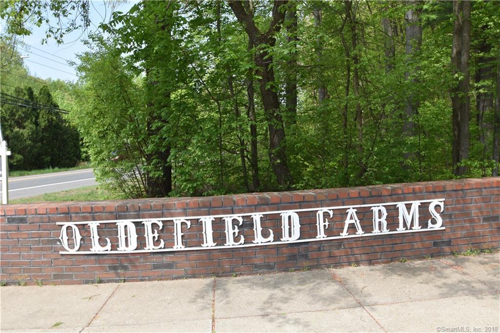 161 Oldefield Farms - Photo 1