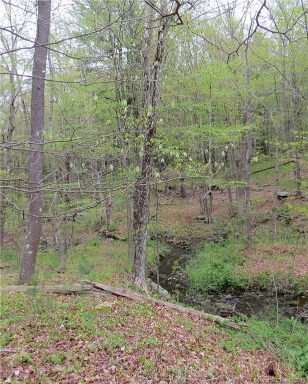 lot 4&5 Day Road - Photo 1