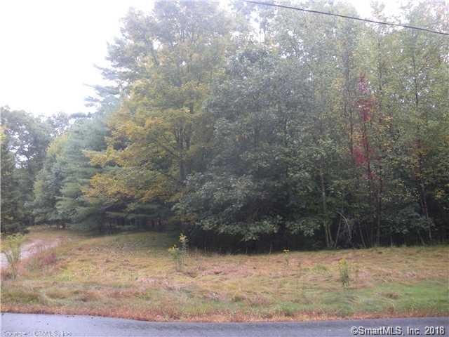 462 Brooklyn Road - Photo 1